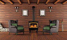 Load image into Gallery viewer, Buck Stove Model 21NC Wood Stove With Gold Door and Leg Kit