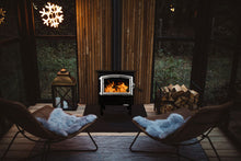 Load image into Gallery viewer, Buck Stove Model 21NC Wood Stove With Pewter Door and Leg Kit