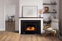 Load image into Gallery viewer, Buck Stove Model 91 Fireplace Insert With Black Door