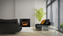 Load image into Gallery viewer, Buck Stove Model 21NC Fireplace Insert With Gold Door

