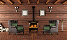 Load image into Gallery viewer, Buck Stove Model 21NC Wood Stove With Gold Door and Leg Kit
