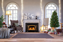Load image into Gallery viewer, Buck Stove Model 91 Fireplace Insert With Gold Door
